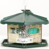 Homestead Triple Bin Party Bird Feeder